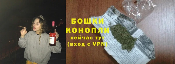 тгк Пересвет