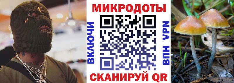 блэк спрут как зайти как найти наркотики Яранск Галлюциногенные грибы GOLDEN TEACHER